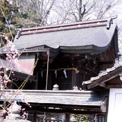 投稿日:2025年7月27日 写真