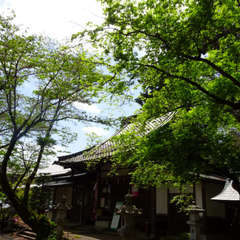 投稿日:2023年4月16日 写真