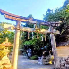 投稿日:2025年8月3日 写真