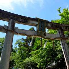 投稿日:2025年6月28日 写真