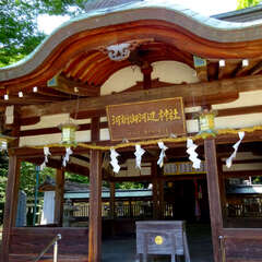 投稿日:2025年6月28日 写真