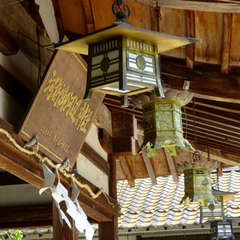 投稿日:2023年4月16日 写真