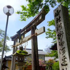 投稿日:2023年4月16日 写真