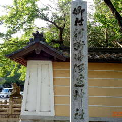 投稿日:2025年6月17日 写真