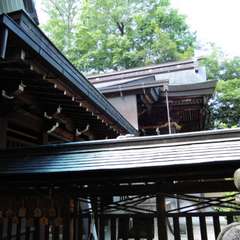 投稿日:2018年6月2日 写真