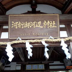 投稿日:2025年6月17日 写真