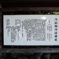 投稿日:2018年6月2日 写真