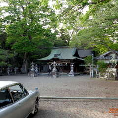 投稿日:2025年6月17日 写真