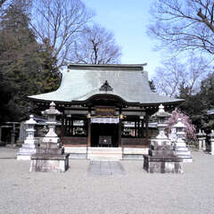 投稿日:2025年7月27日 写真