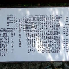 投稿日:2025年6月28日 写真