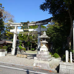 写真