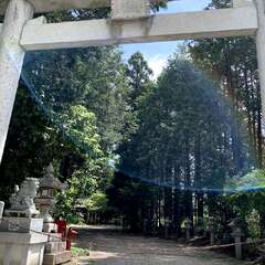 写真