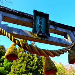 びわ湖百八霊場巡礼⑲(投稿日:2025年12月13日) 写真