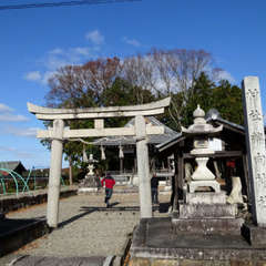 写真
