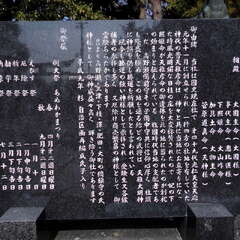 天稚彦神社(投稿日:2025年7月27日) 写真