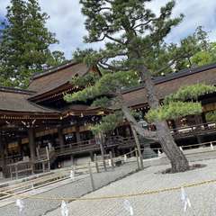 投稿日:2021年5月13日 写真