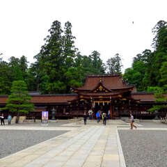 投稿日:2025年6月8日 写真