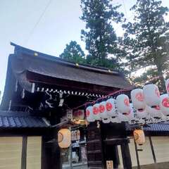 投稿日:2025年8月3日 写真