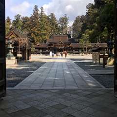 投稿日:2017年3月27日 写真