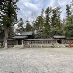 投稿日:2022年4月2日 写真