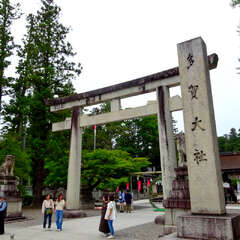 投稿日:2025年6月8日 写真