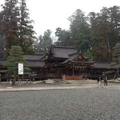 投稿日:2024年4月22日 写真