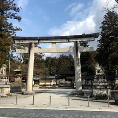 投稿日:2017年3月27日 写真