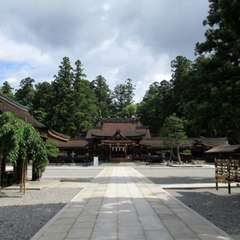 投稿日:2019年4月15日 写真