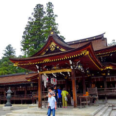 投稿日:2025年6月8日 写真