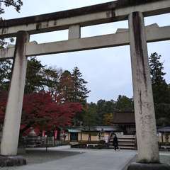 投稿日:2021年11月21日 写真