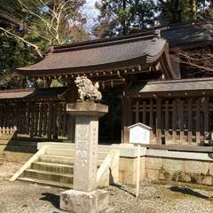 投稿日:2017年3月27日 写真