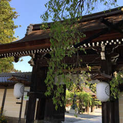 投稿日:2018年4月20日 写真