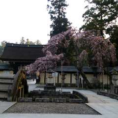 投稿日:2015年3月31日 写真