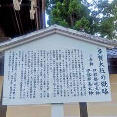 投稿日:2025年8月3日 写真