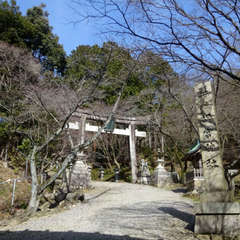 投稿日:2021年2月27日 写真