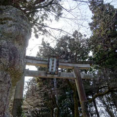 投稿日:2021年2月27日 写真