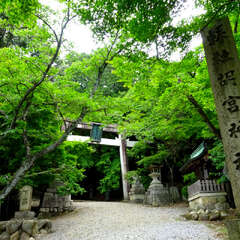 投稿日:2025年6月8日 写真