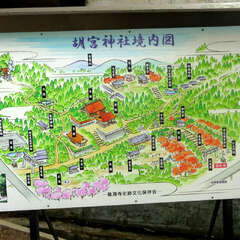 投稿日:2025年6月8日 写真