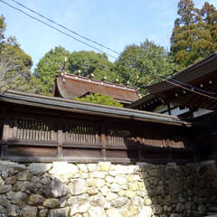 投稿日:2021年2月27日 写真