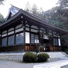 投稿日:2025年7月27日 写真