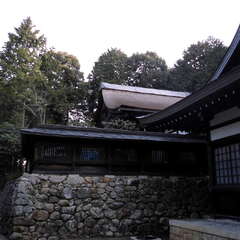 投稿日:2025年7月27日 写真