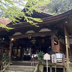 投稿日:2017年4月18日 写真