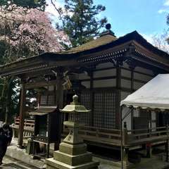 投稿日:2017年4月18日 写真