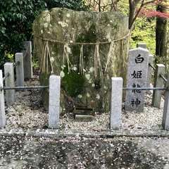 投稿日:2017年4月18日 写真