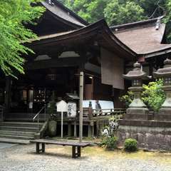 投稿日:2016年6月10日 写真