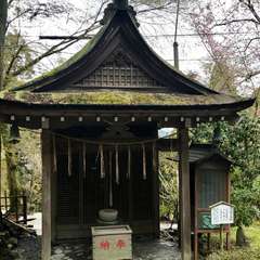 投稿日:2017年4月18日 写真