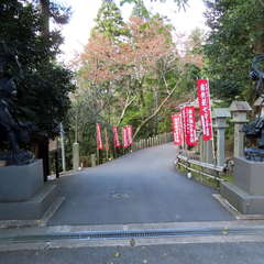 投稿日:2022年10月31日 写真