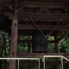 投稿日:2016年6月10日 写真