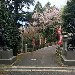 投稿日:2017年4月18日 写真