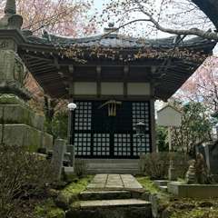 投稿日:2017年4月18日 写真